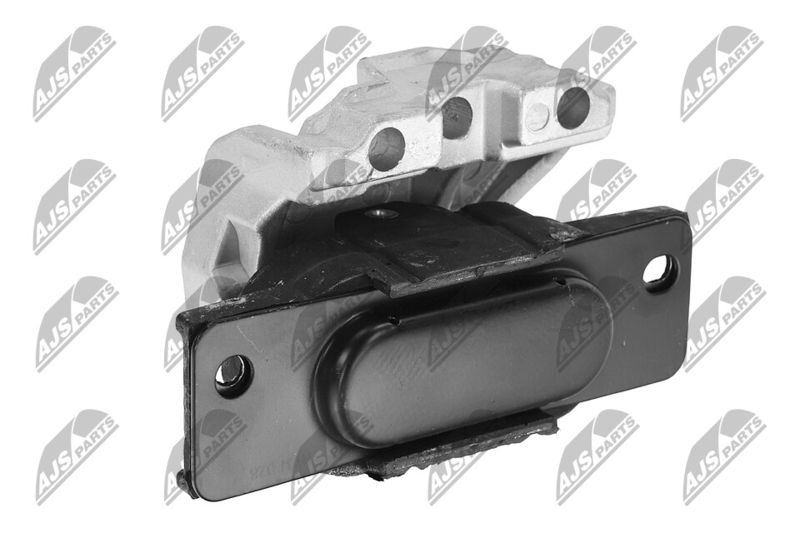 Paigutus, Mootor, NTY ZPS-CH-028