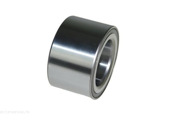 AUTOMEGA 110142010 Wheel Bearing Kit