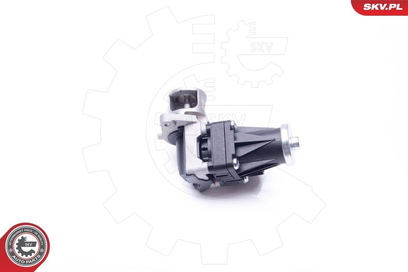 ESEN SKV 14SKV159 EGR Valve