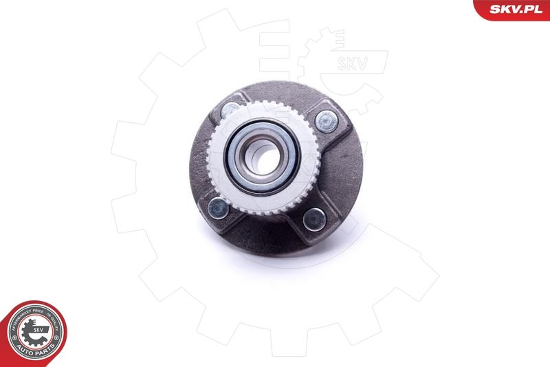 ESEN SKV 29SKV520 Wheel Bearing Kit
