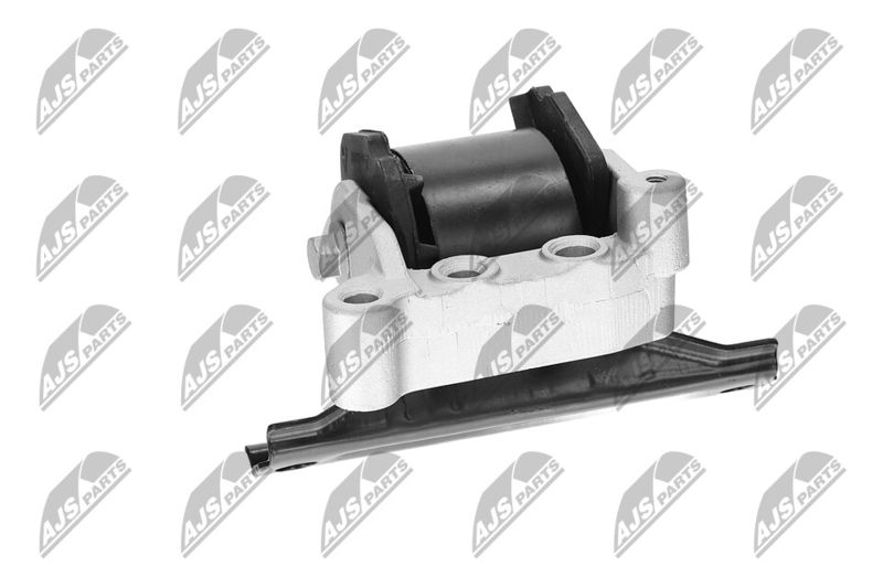 Paigutus, Mootor, NTY ZPS-CH-071