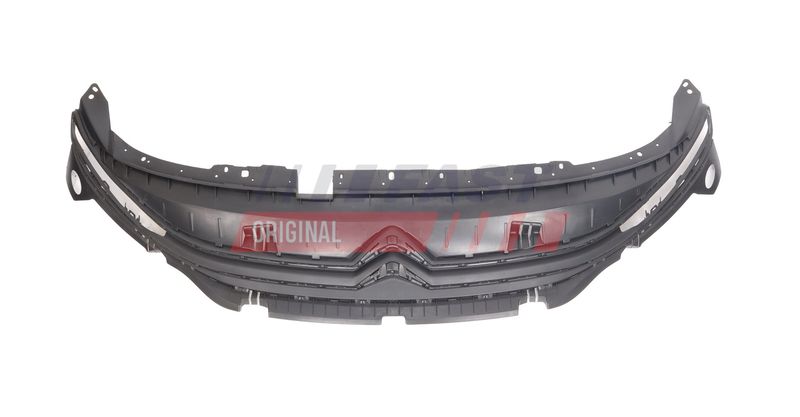 Grila radiator FAST FT13593