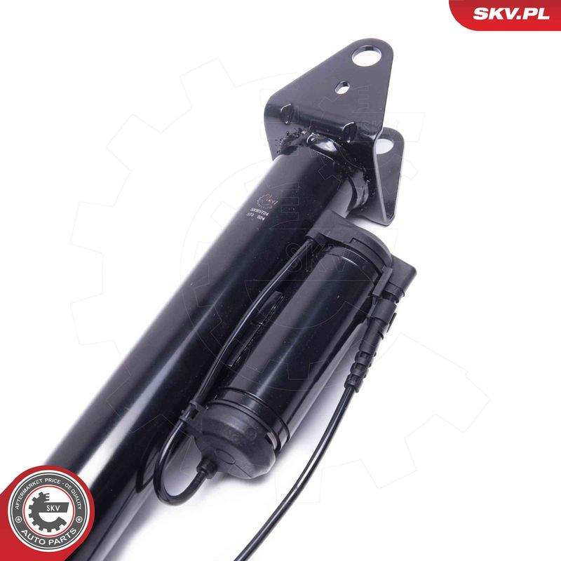 ESEN SKV 58SKV724 Air Suspension Strut