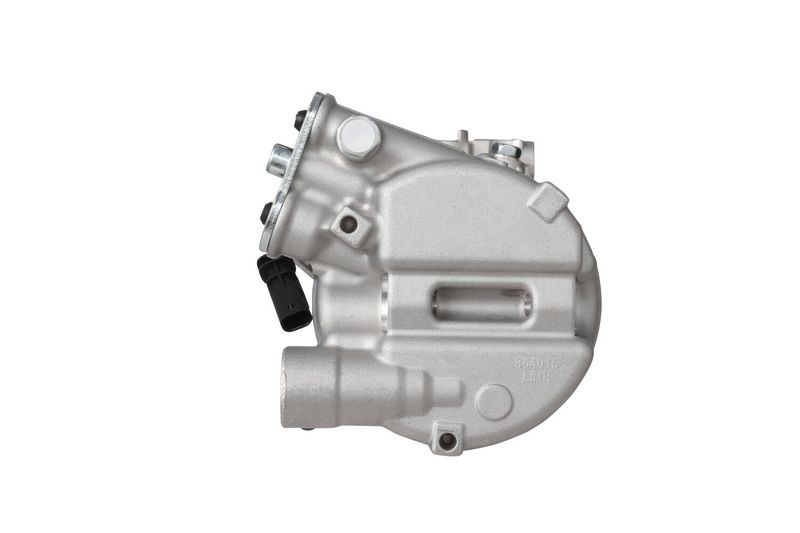 366203031_BACK_TD_1.JPG