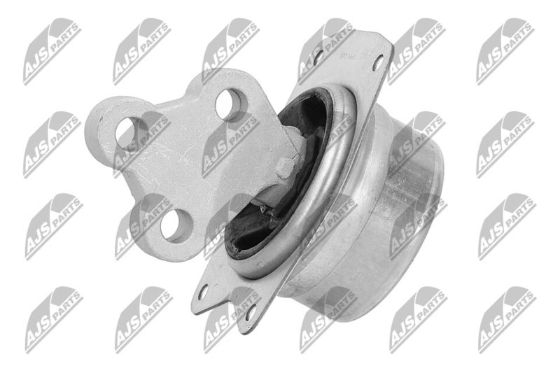 Paigutus, Mootor, NTY ZPS-PL-025