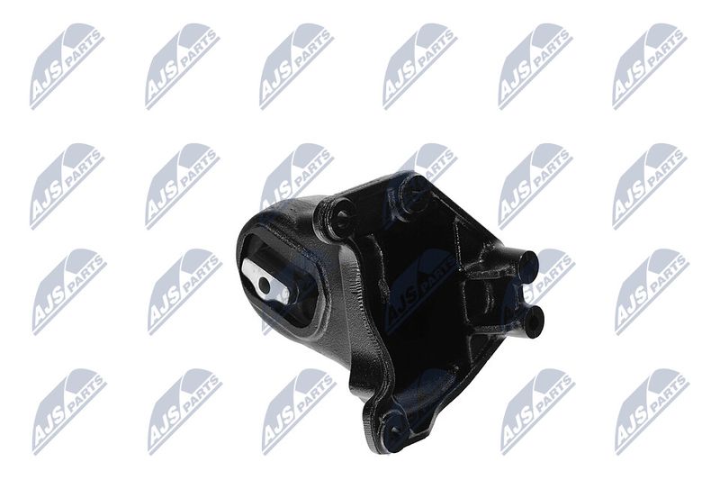 Paigutus, Mootor, NTY ZPS-CH-173