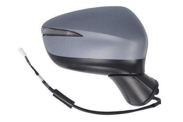 BLIC 5402-14-0770313P Exterior Mirror