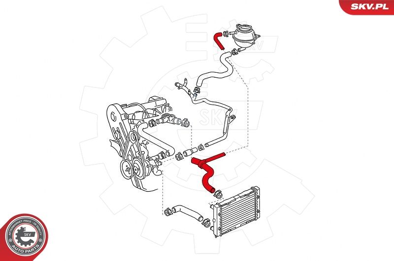 ESEN SKV 43SKV700 Radiator Hose