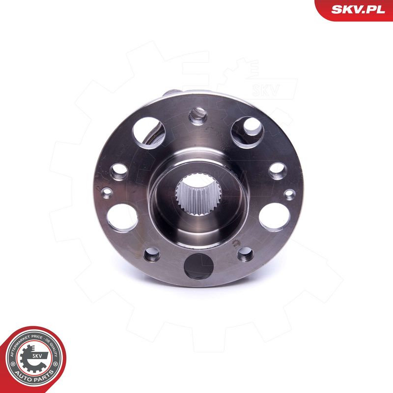 Rattalaagrikomplekt, ESEN SKV 29SKV387