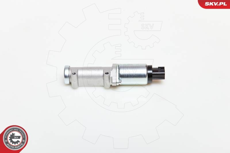 08SKV218