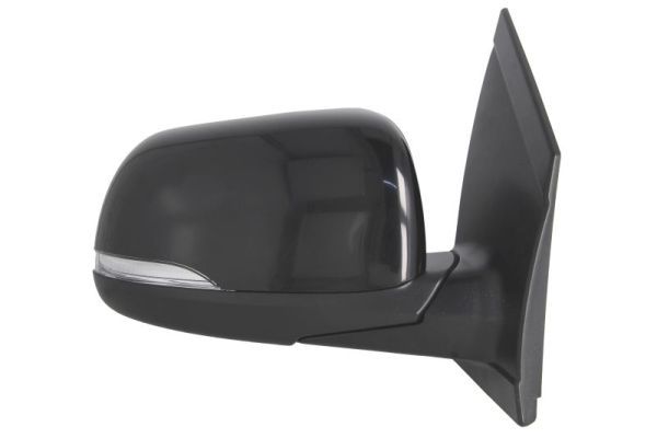 BLIC 5402-53-2001536P Exterior Mirror