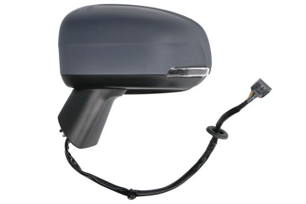 BLIC 5402-24-2025314P Exterior Mirror