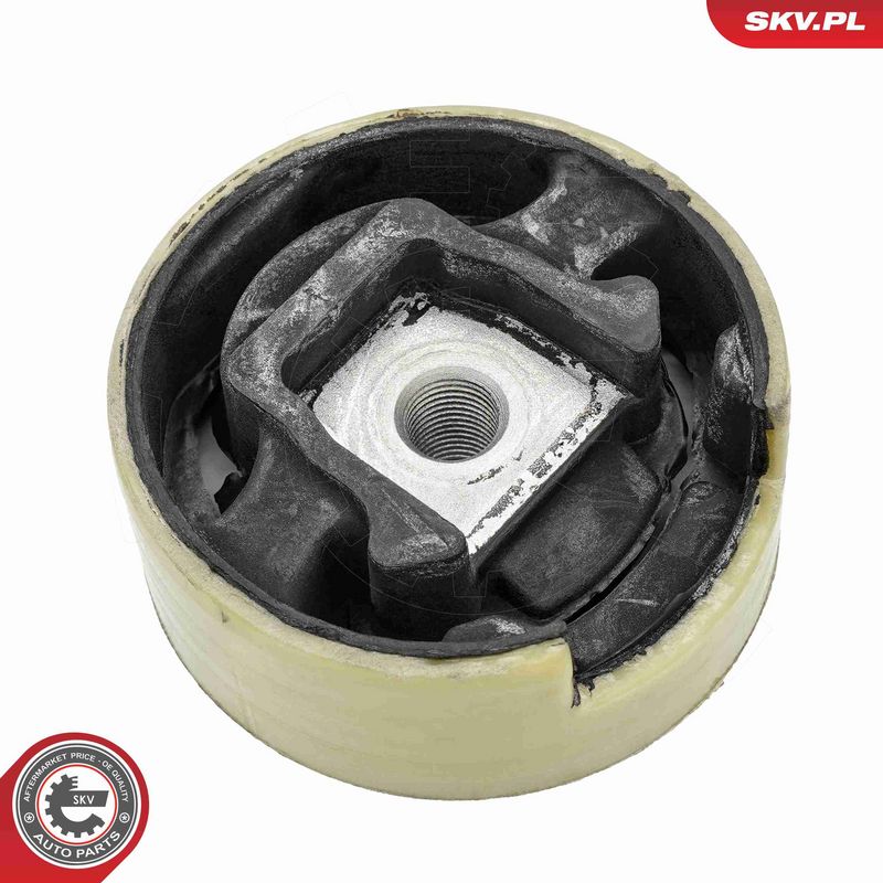 Paigutus, Mootor, ESEN SKV 75SKV306