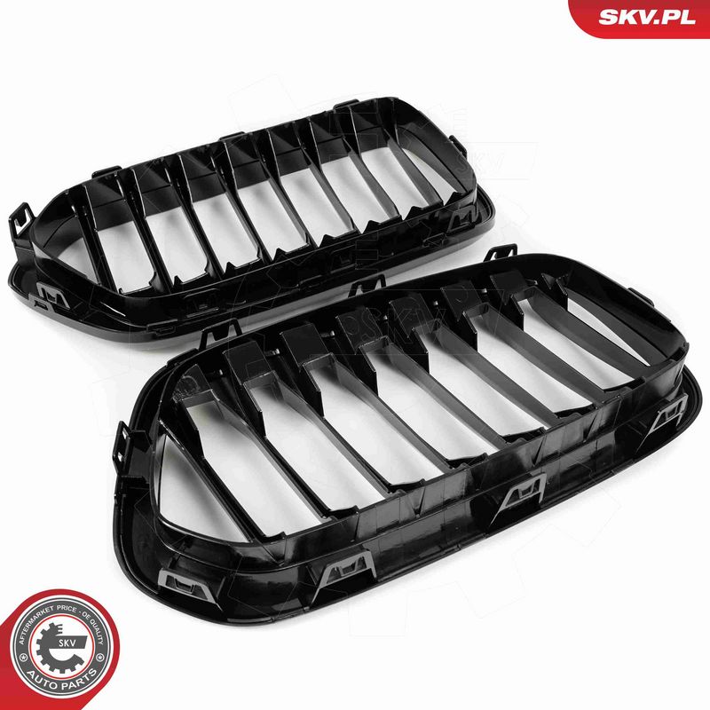 ESEN SKV 66SKV245 Radiator Grille