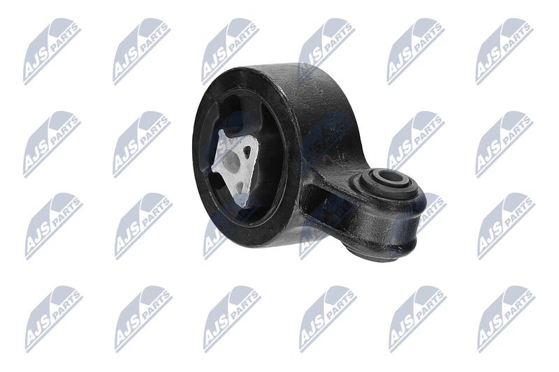 Paigutus, Mootor, NTY ZPS-CH-117