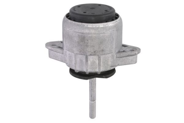 REINHOCH RH11-3163 Mounting, engine