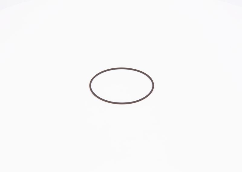 Inel de etansare F 01M 100 371 BOSCH