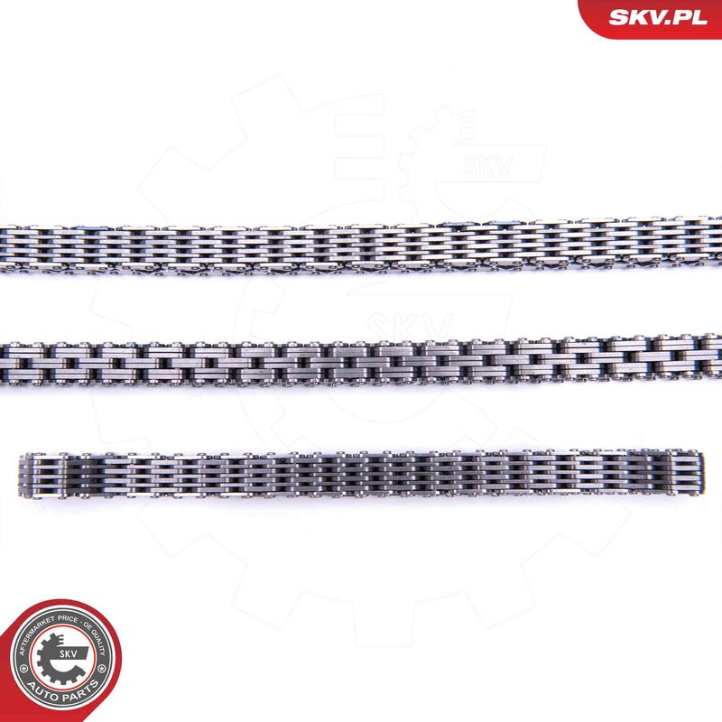 Mootori keti komplekt, ESEN SKV 21SKV162