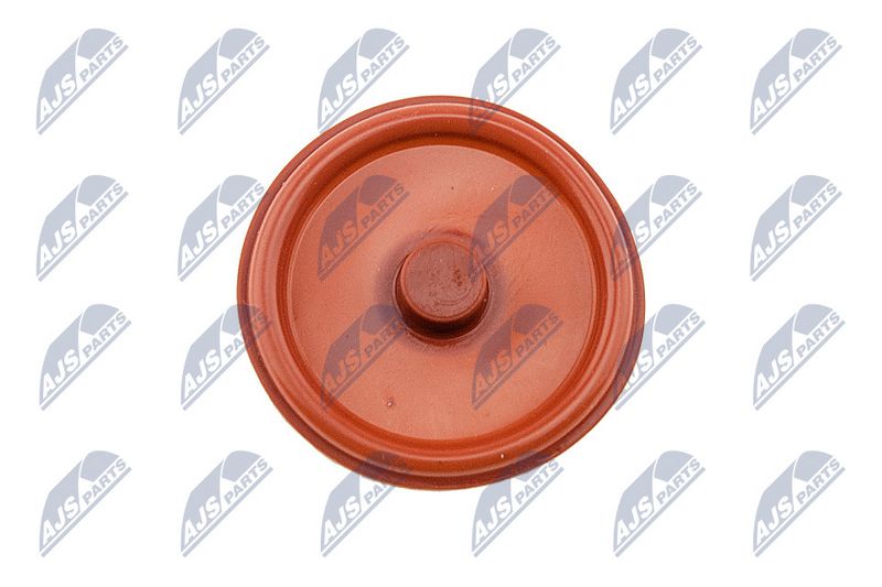 Klapikaas, NTY BPZ-PL-005