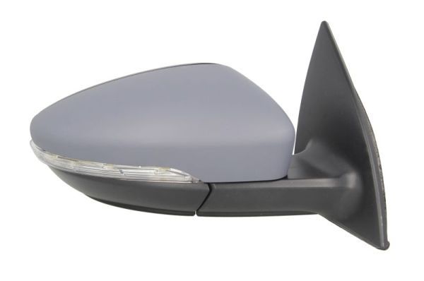 BLIC 5402-01-2002590P Exterior Mirror