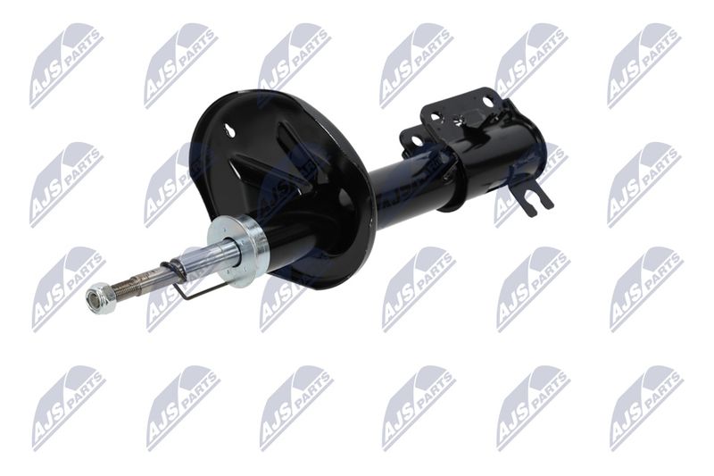 Amort, NTY A-CH-053