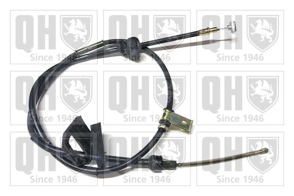 QH_BC3538.JPG