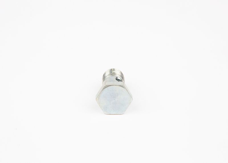BOSCH 2443456018 Screw