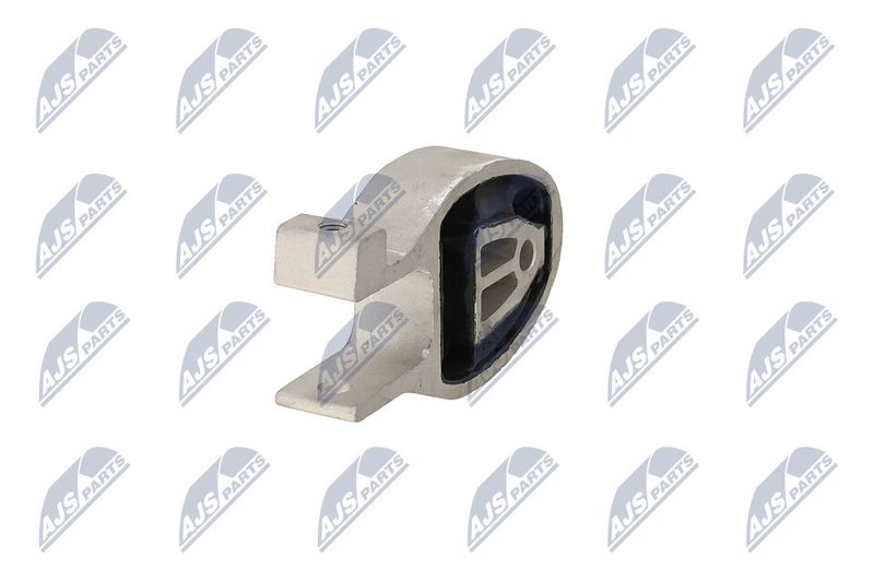 Paigutus, Mootor, NTY ZPS-FR-037