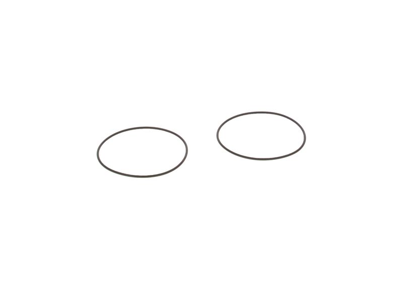 BOSCH 3130210005 Seal