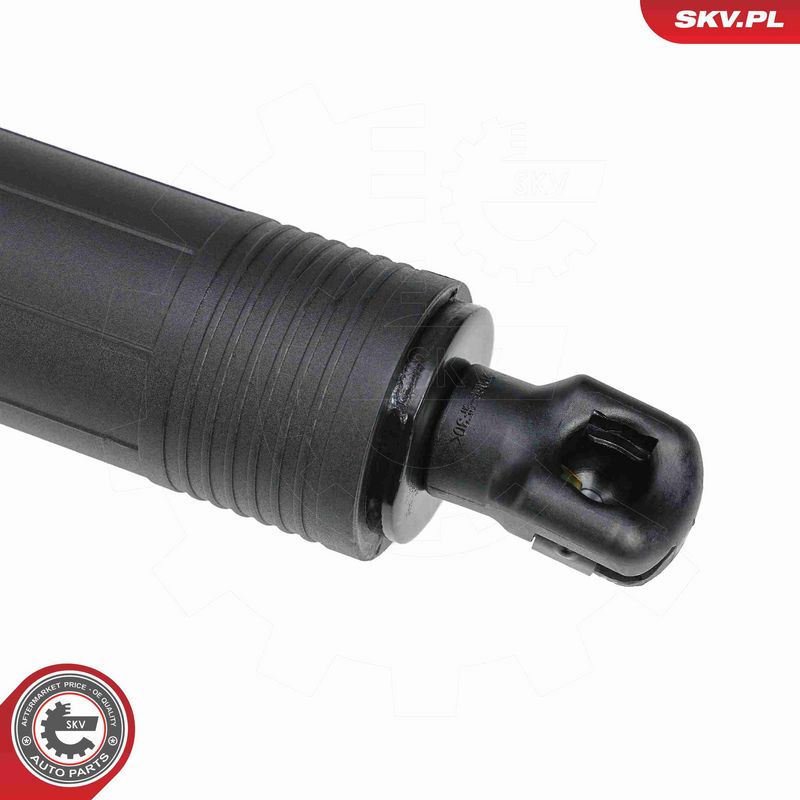 ESEN SKV 52SKV881 Electric Motor, tailgate