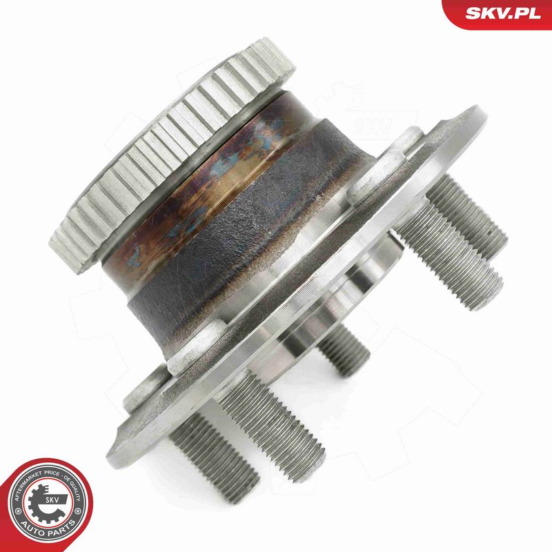 ESEN SKV 29SKV445 Wheel Bearing Kit