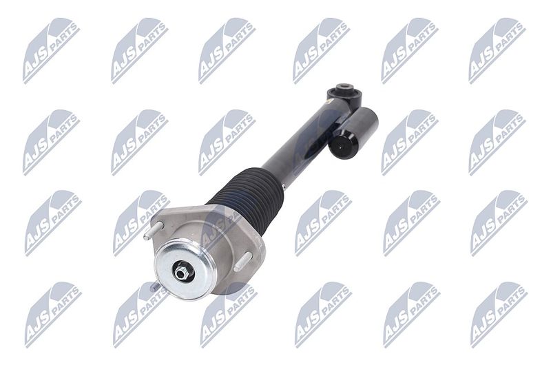 Amort, NTY A-LR-019