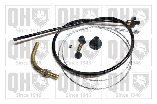 QH_QTC5035.JPG