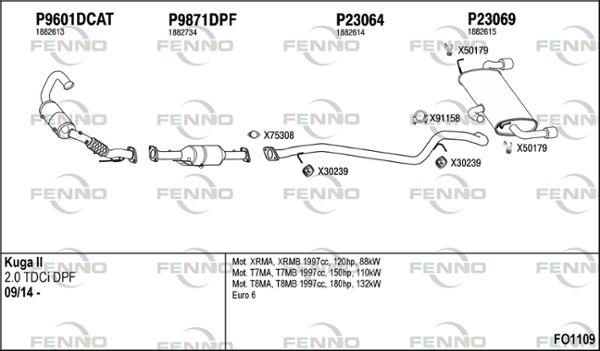 FO1109.JPG
