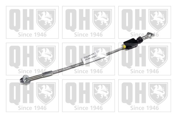 QH_BC3618.JPG