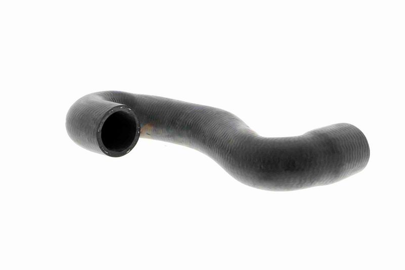VAICO V40-1336 Radiator Hose