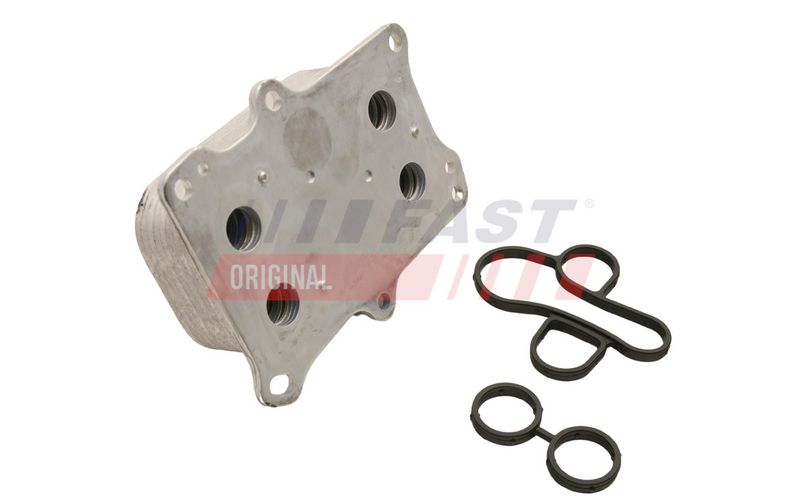 Prekė atitinka OEM kodą: 55219087