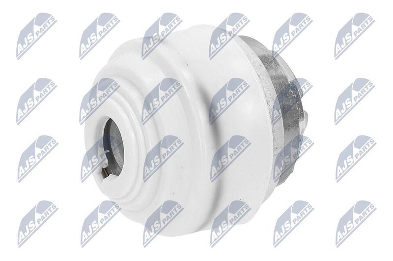 Paigutus, Mootor, NTY ZPS-ME-099