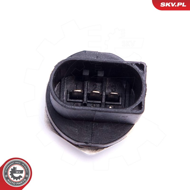 Andur, kütuserõhk, ESEN SKV 17SKV736