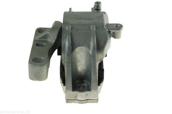 AUTOMEGA 130057010 Variklio pagalvė