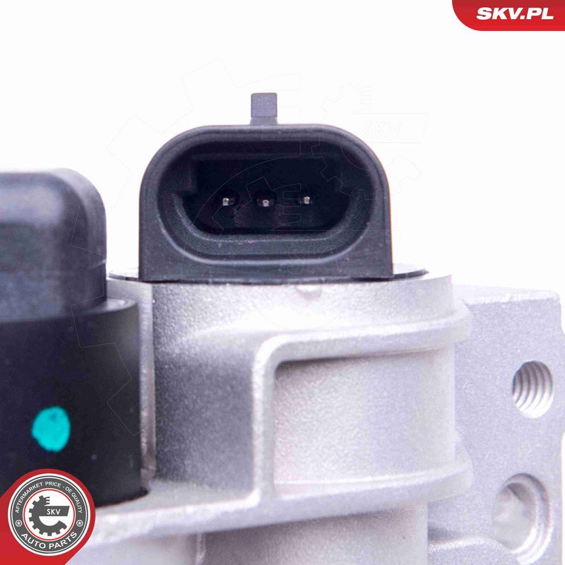 ESEN SKV 12SKV081 Throttle Body