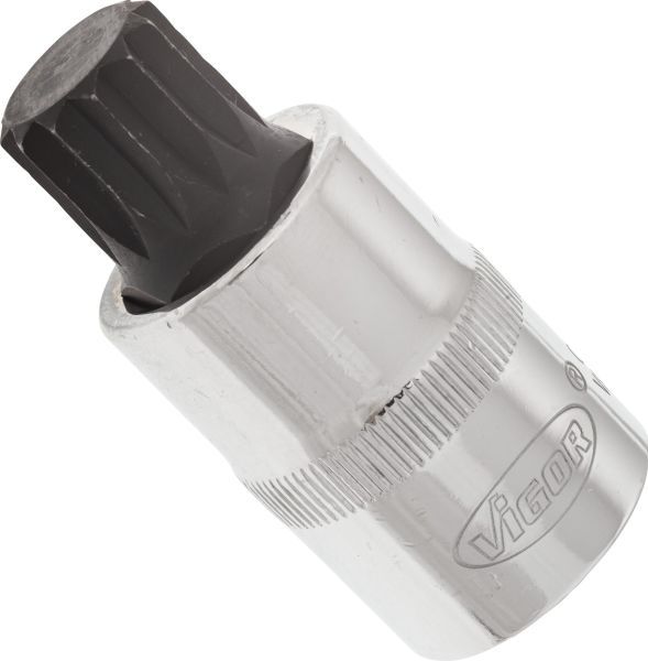 Padrun, VIGOR V2100