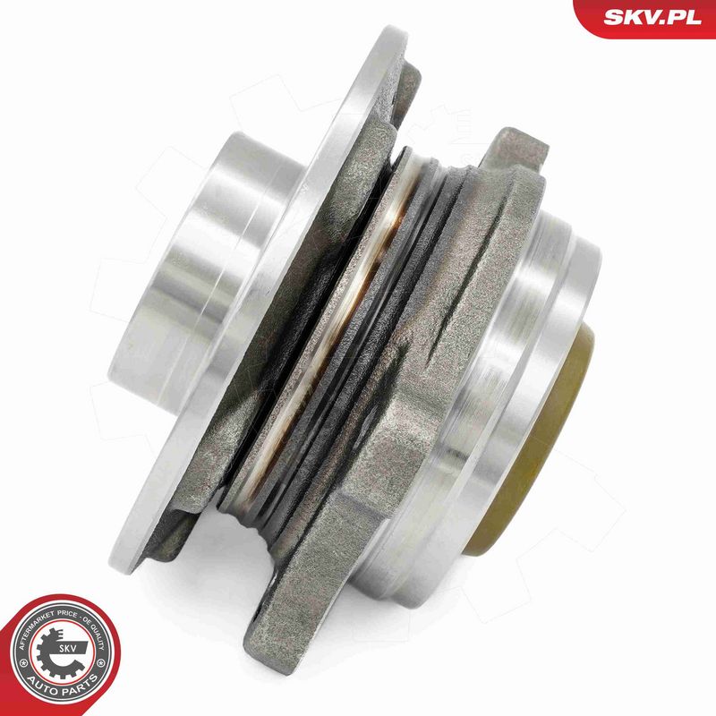ESEN SKV 29SKV307 Wheel Bearing Kit