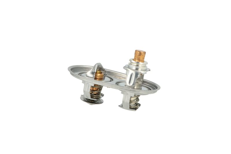 Termostat, chladivo 725393