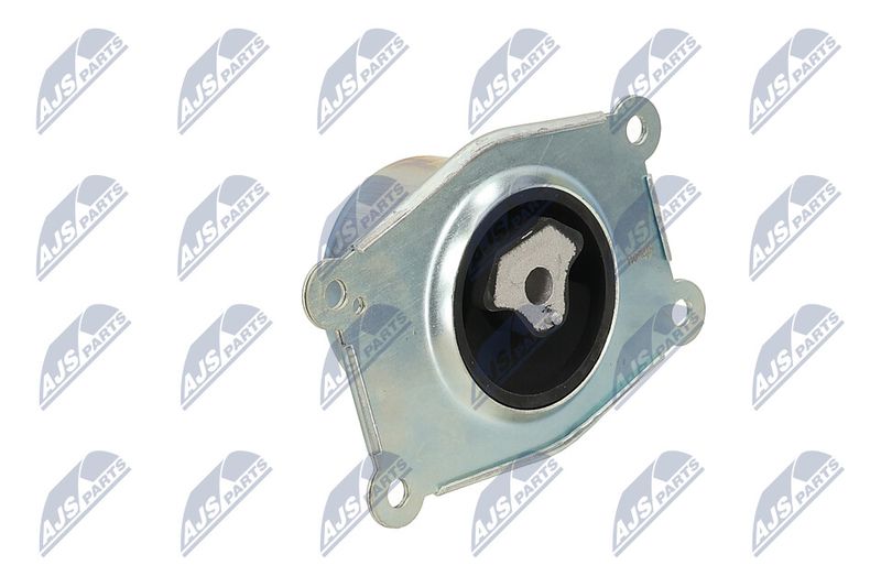 Paigutus, Mootor, NTY ZPS-PL-044