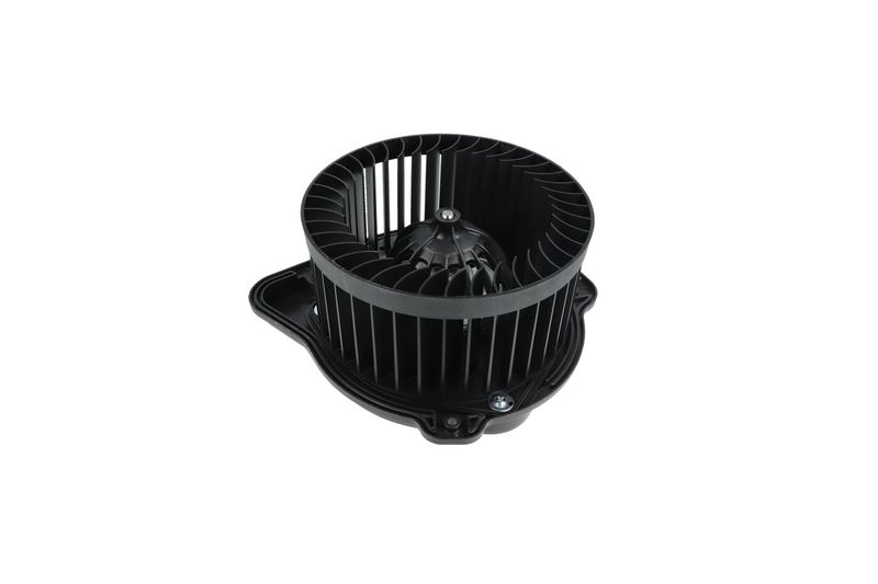 Salongipuhur, NRF 34136