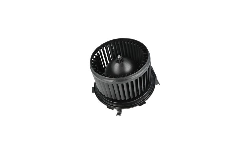 Salongipuhur, NRF 34234