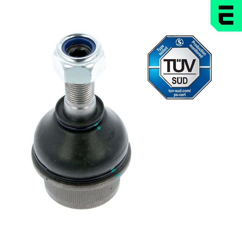 Kande-, juhtliigend,...