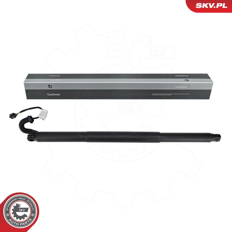 Elektrimootor, tagaluuk, ESEN SKV 52SKV889
