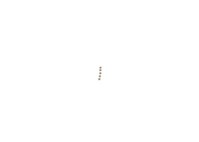 BOSCH F 00Z C99 755 Repair Kit, common rail system